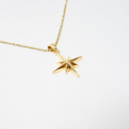 Relicario Colgante Estrella Fugaz - Gold