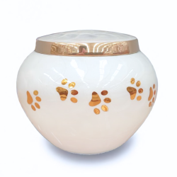 Ánfora Odisea Perla Dorada