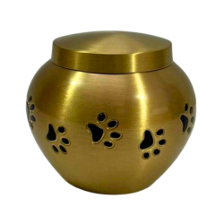 Ánfora Odisea Oro