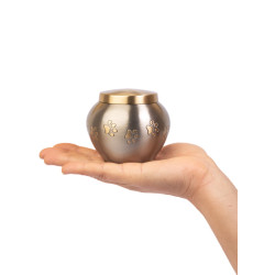 Ánfora Odisea Platino