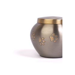 Ánfora Odisea Platino