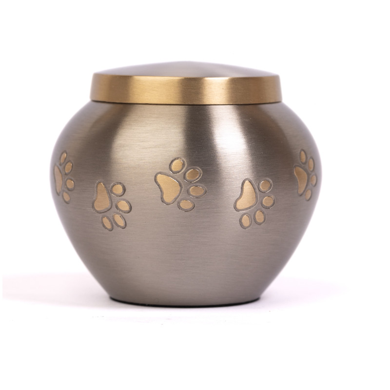 Ánfora Odisea Platino