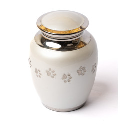 Ánfora Clásica Perla Plata