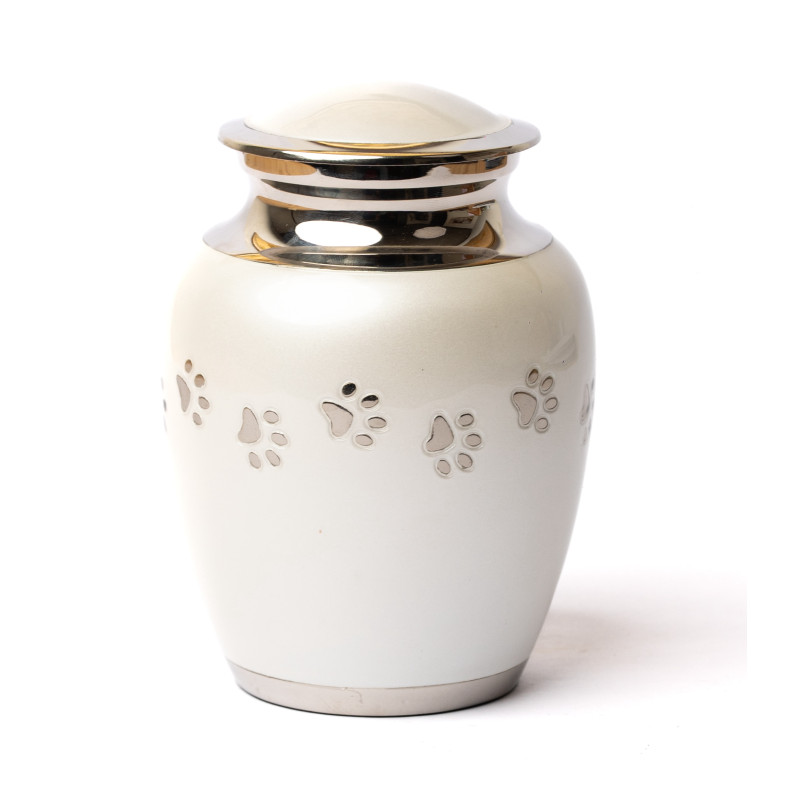 Ánfora Clásica Perla Plata Talla S (Hasta 7kg)
