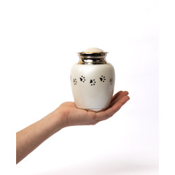 Ánfora Clásica Perla Plata