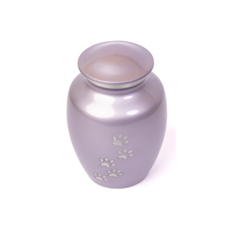 Ánfora Clásica Lila