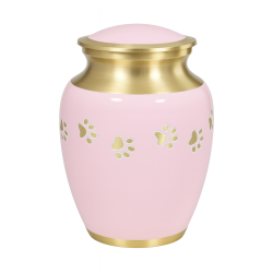 Clásica Rosa Dorada