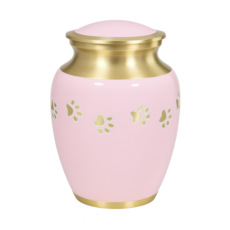 Clásica Rosa Dorada