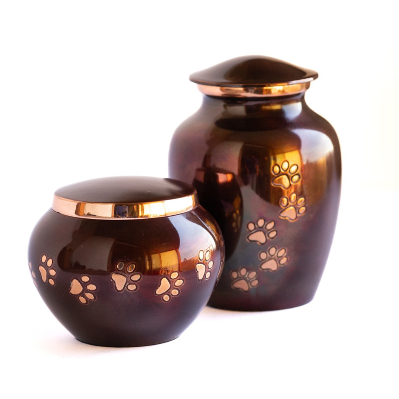Odisea Cobre Tornasol Talla S