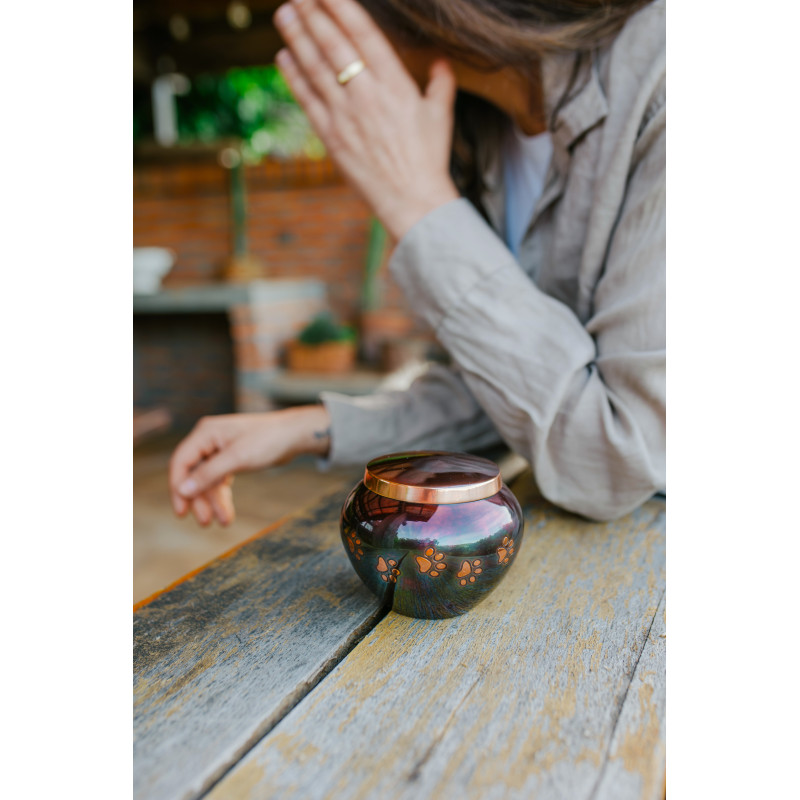 Odisea Cobre Tornasol