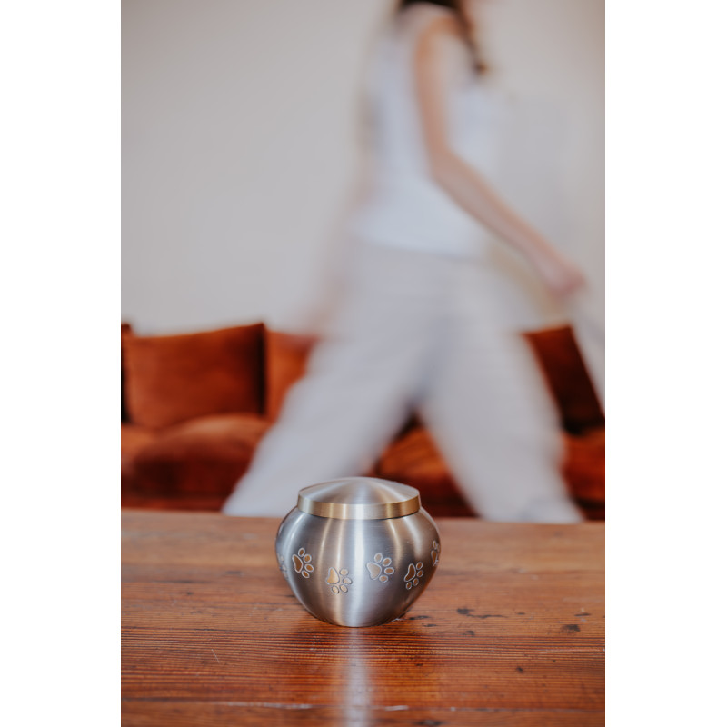 Ánfora Odisea Platino Talla S (Hasta 7kg)