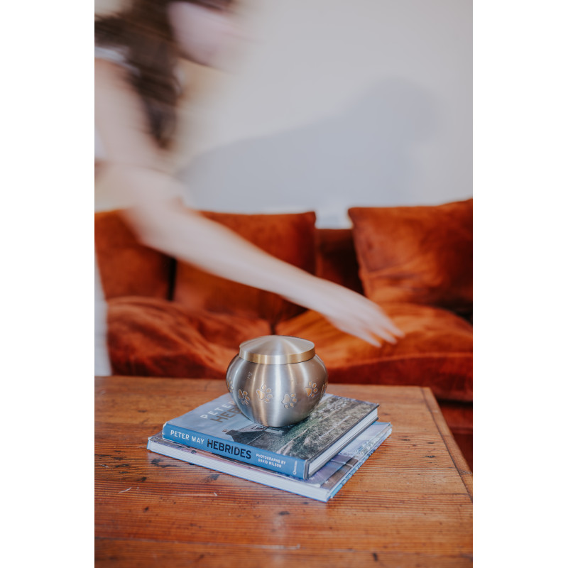 Ánfora Odisea Platino