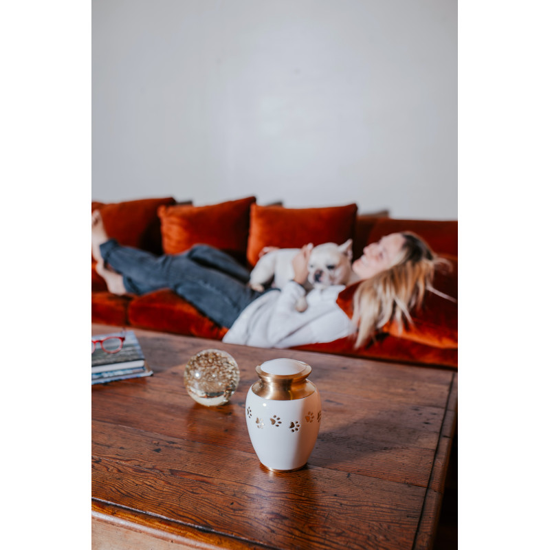 Ánfora Clásica Perla Dorada