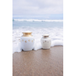 Ánfora Clásica Perla Dorada