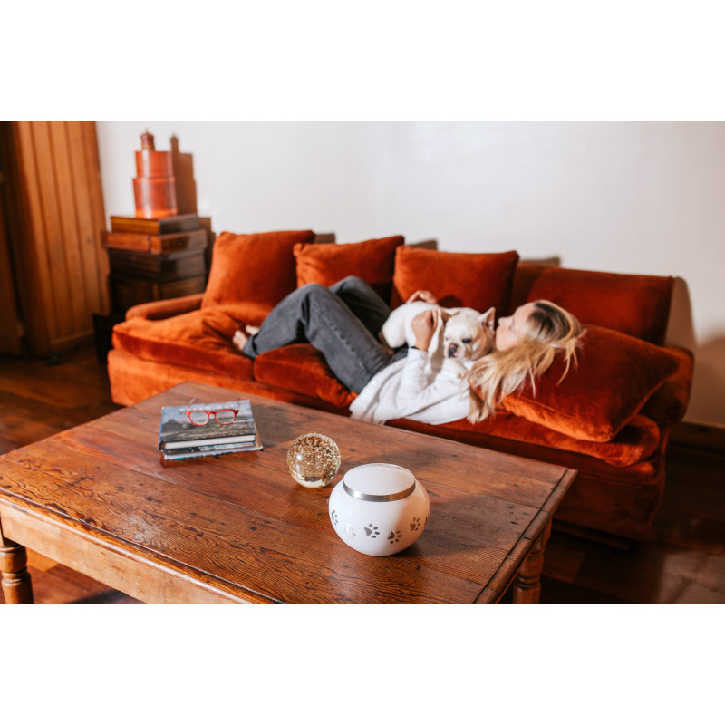 Ánfora Odisea Perla Plata