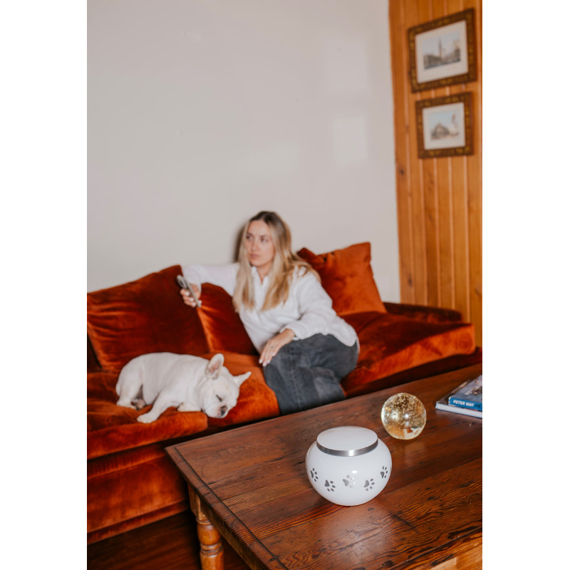 Ánfora Odisea Perla Plata