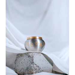 Ánfora Odisea Platino