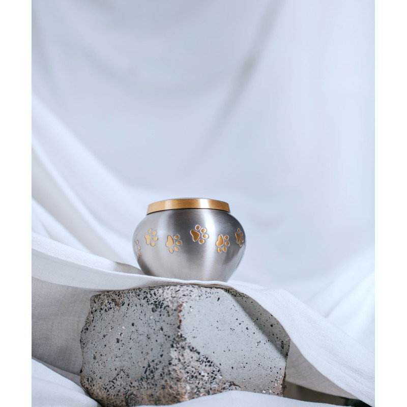 Ánfora Odisea Platino