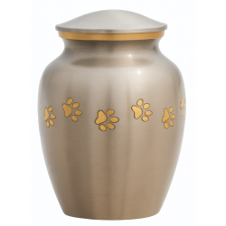 Ánfora Clásica Platino