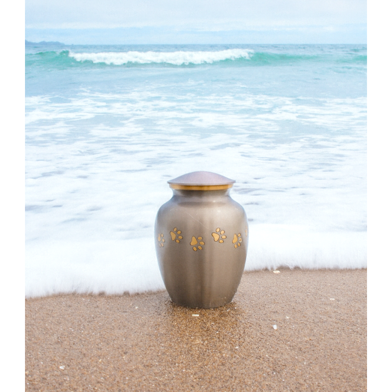 Ánfora Clásica Platino