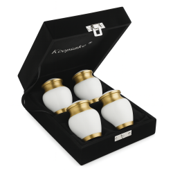 Petite Set Essentia Solis