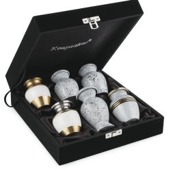 P6 Les Lumiéres Keepsake