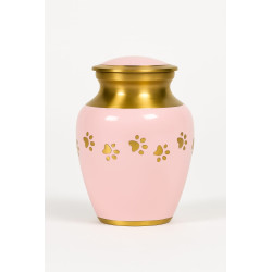 Clásica Rosa Dorada Luz