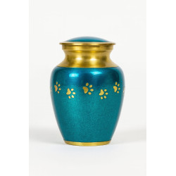 Clásica Aqua Dorada Talla S