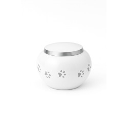 Ánfora Odisea Perla Plata