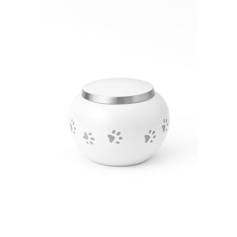 Ánfora Odisea Perla Plata