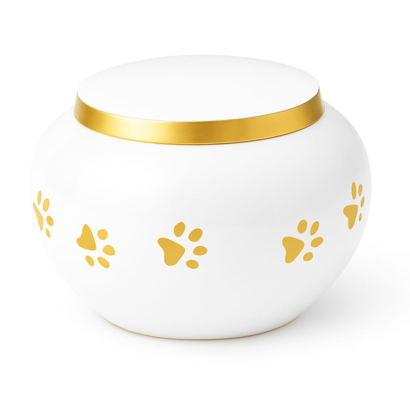 Ánfora Odisea Perla Dorada