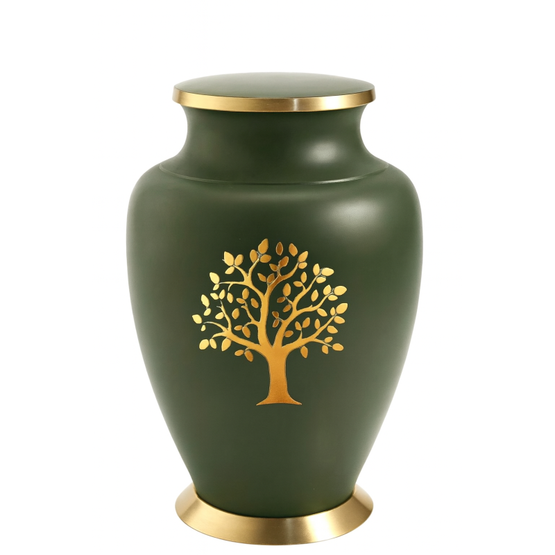 Verde Olivo Verde Olivo