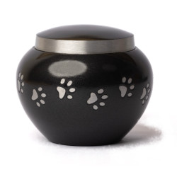 Ánfora Odisea Grafito