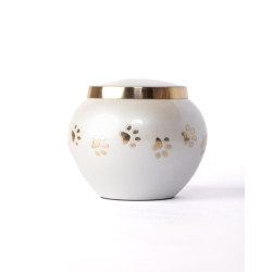 Ánfora Odisea Perla Dorada