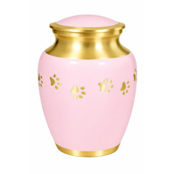 Clásica Rosa Dorada Luz