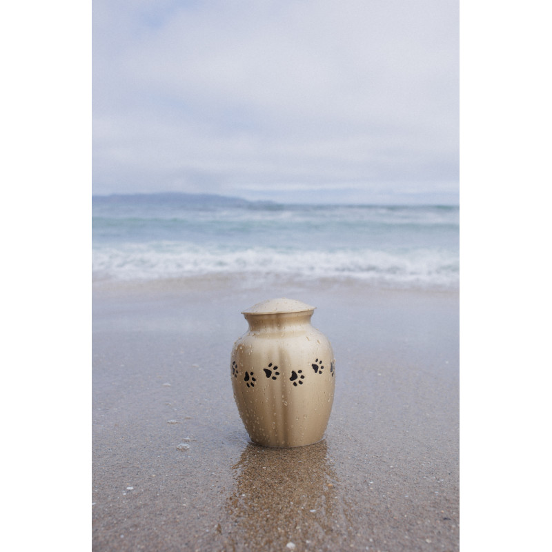 Ánfora Clásica Oro