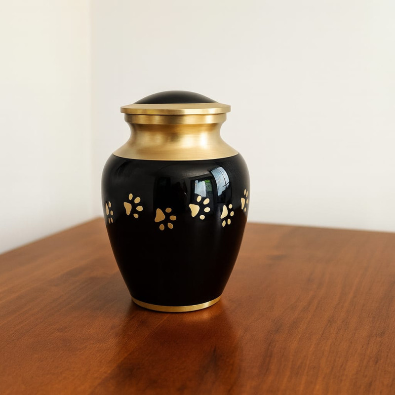 Clásica Grafito Dorada