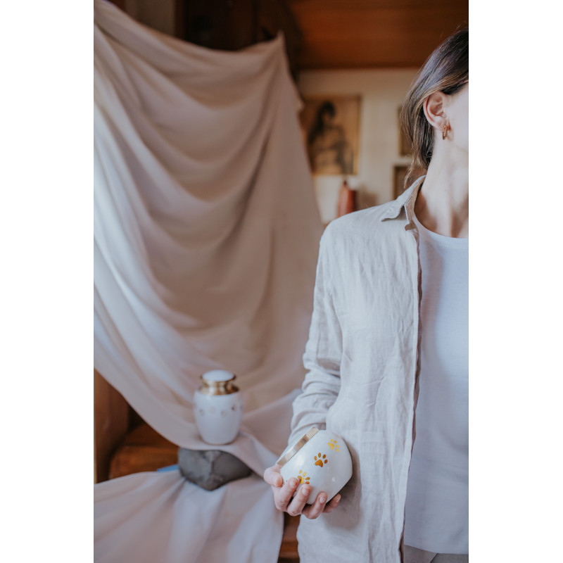 Ánfora Odisea Perla Dorada