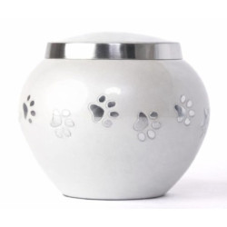 Ánfora Odisea Perla Plata