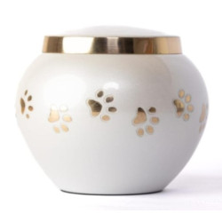 Ánfora Odisea Perla Dorada