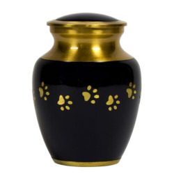 Clásica Grafito Dorada