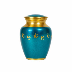 Clásica Aqua Dorada Talla S (Hasta 7kg)
