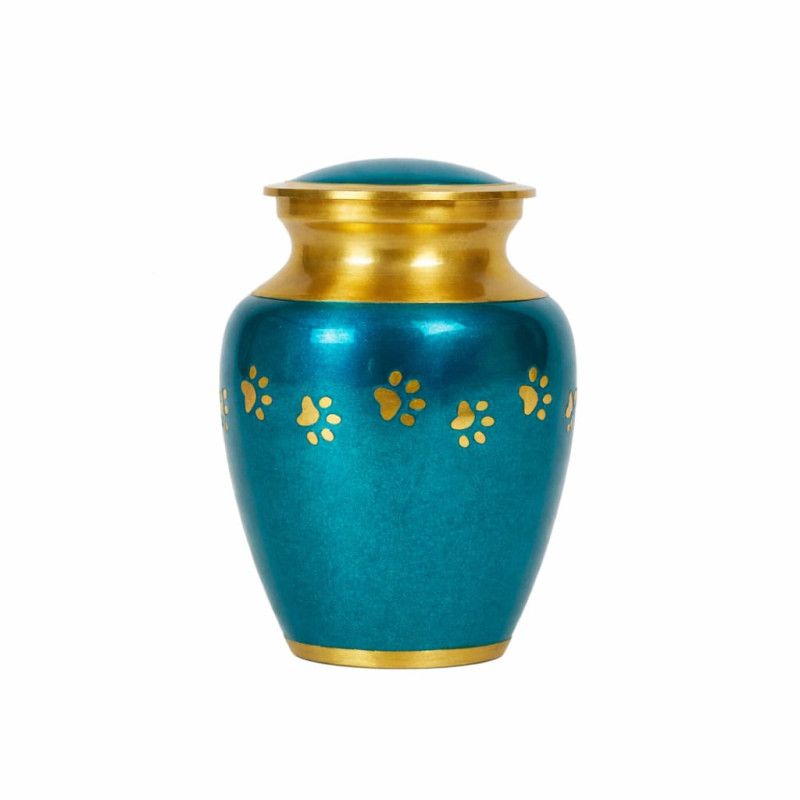 Clásica Aqua Dorada Talla S (Hasta 7kg)