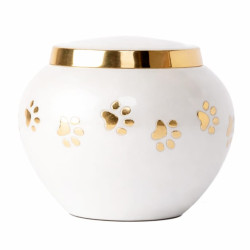 Ánfora Odisea Perla Dorada