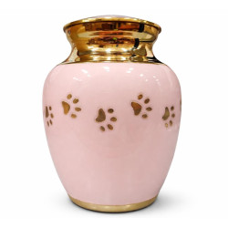 Clásica Rosa Dorada Luz