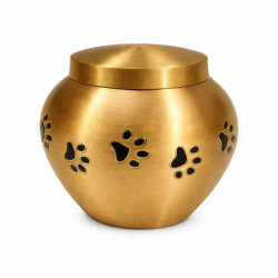 Ánfora Odisea Oro Petite (Hasta 1,5kg)