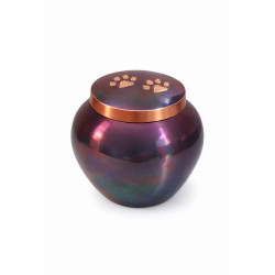 Ánfora Odisea Tornasol