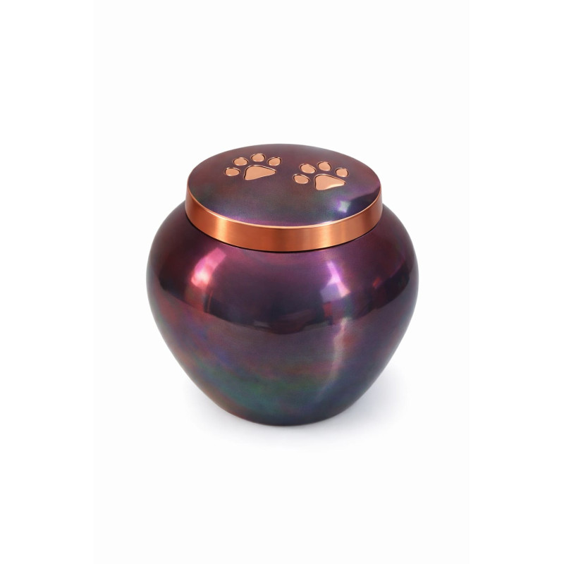 Ánfora Odisea Tornasol