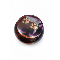 Ánfora Odisea Tornasol