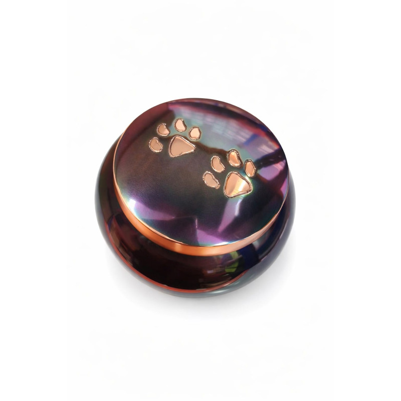 Ánfora Odisea Tornasol